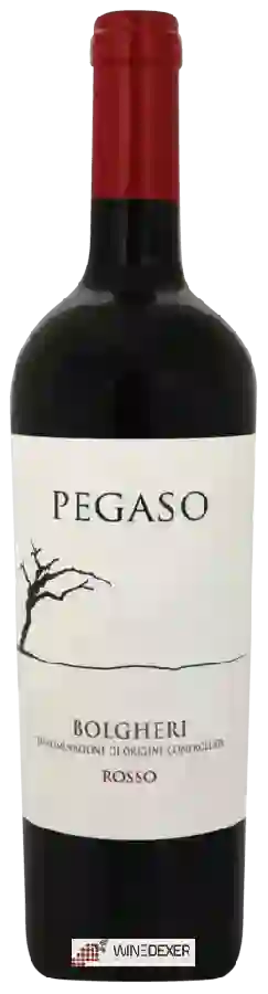 Winery Folonari - Pegaso Bolgheri Rosso Winery Folonari - Pegaso Bolgheri Rosso