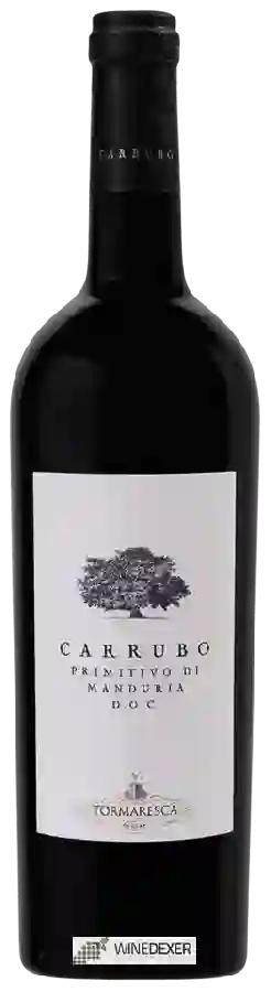 Winery Tormaresca - Carrubo Primitivo di Manduria