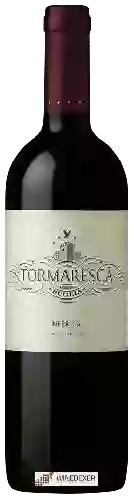 Winery Tormaresca - Neprica