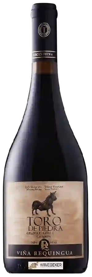 Winery Toro de Piedra - Gran Reserva Carignan