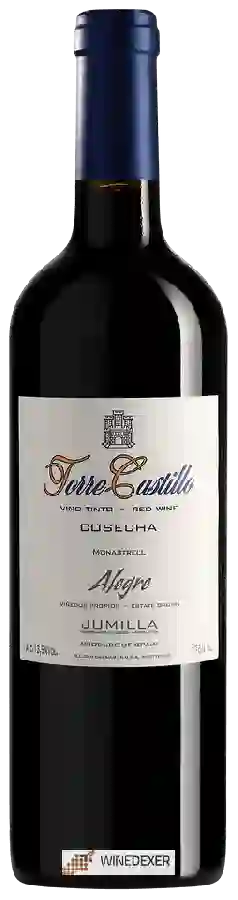 Winery Torre Castillo - Alegre