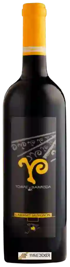 Winery Torre de Barreda - Cabernet Sauvignon
