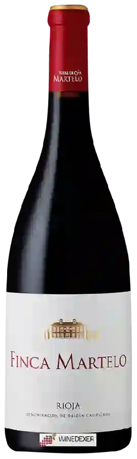 Winery Torre de Oña - Martelo