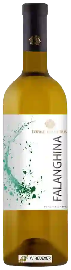 Winery Torre dei Chiusi - Falanghina Winery Torre dei Chiusi - Falanghina