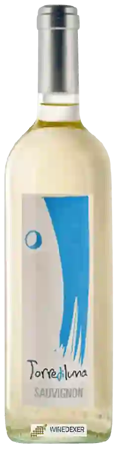 Winery Torre di Luna - Sauvignon Winery Torre di Luna - Sauvignon