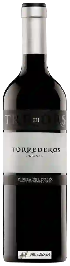 Winery Torrederos - III Crianza