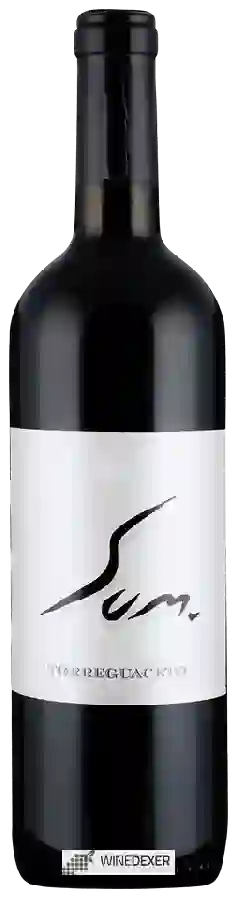 Winery Torreguaceto - Sum