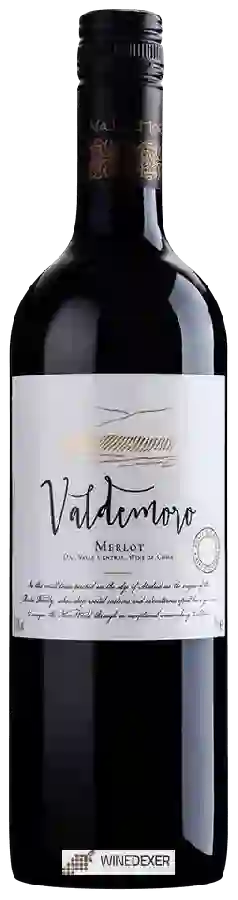 Winery Torreón de Paredes - Valdemoro Merlot