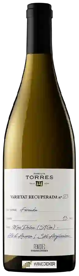 Winery Torres - Forcada Winery Torres - Forcada