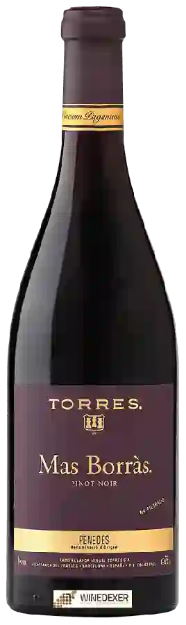 Winery Torres - Mas Borr&aacutes Pinot Noir