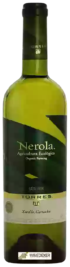 Winery Torres - Nerola Blanco Winery Torres - Nerola Blanco