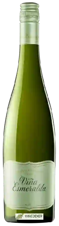 Winery Torres - Viña Esmeralda Winery Torres - Viña Esmeralda