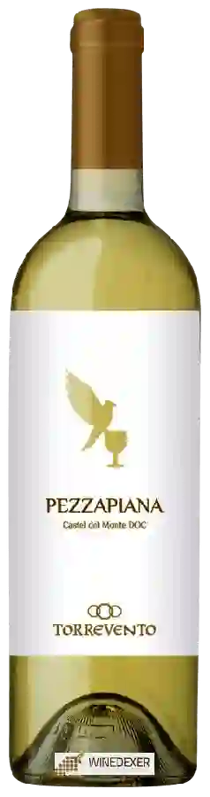 Winery Torrevento - Castel del Monte Pezzapiana Winery Torrevento - Castel del Monte Pezzapiana