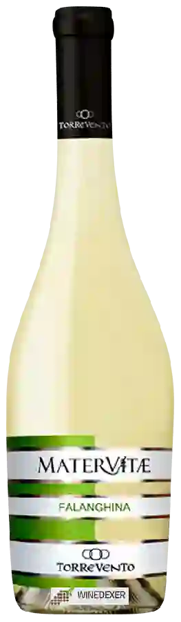 Winery Torrevento - Falanghina Matervitae