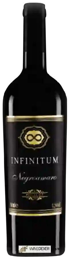 Winery Torrevento - Infinitum Negroamaro