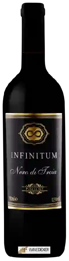 Winery Torrevento - Infinitum Nero di Troia