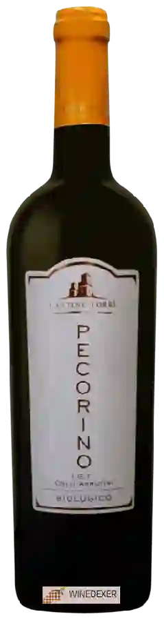 Winery Torri - Pecorino