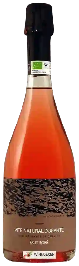 Winery Tosca - Brut Rosé