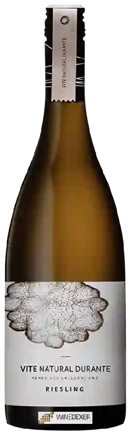 Winery Tosca - Vite Natural Durante Riesling Winery Tosca - Vite Natural Durante Riesling