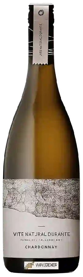 Winery Tosca - Vite Natural Durante Chardonnay Winery Tosca - Vite Natural Durante Chardonnay