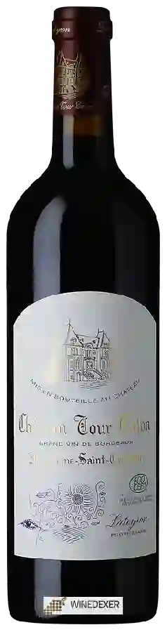 Château Tour Calon - Montagne-Saint-Émilion
