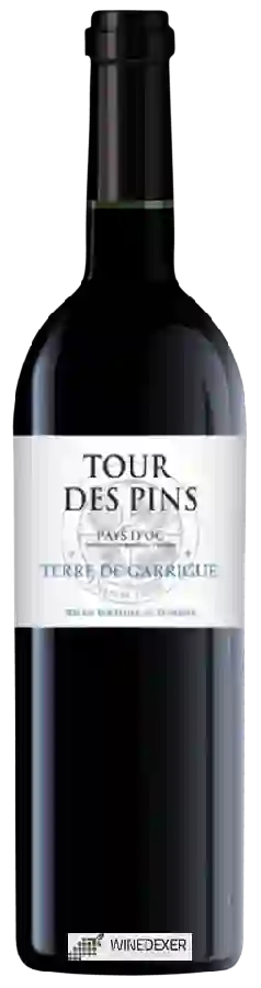 Winery Tour des Pins - Terre de Garrigue Rouge