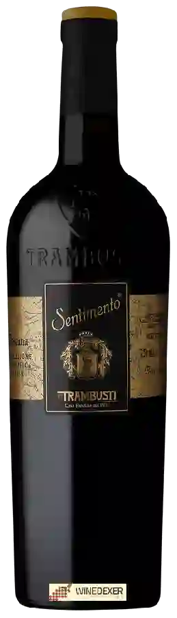 Winery Trambusti - Sentimento