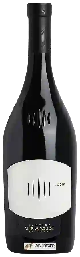Winery Tramin - Loam
