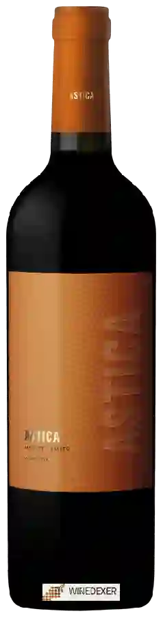 Winery Trapiche - Astica Merlot - Malbec