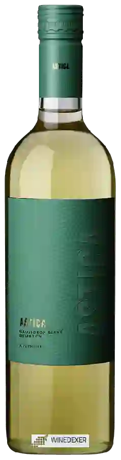 Winery Trapiche - Astica Sauvignon Blanc - Semillon