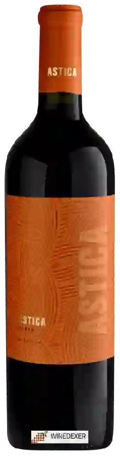 Winery Trapiche - Astica Syrah
