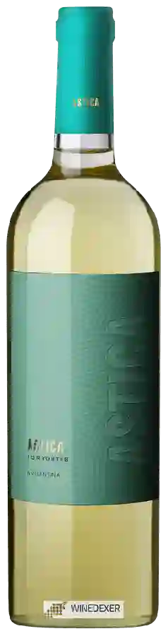 Winery Trapiche - Astica Torrontés