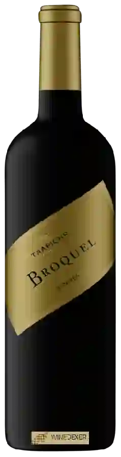 Winery Trapiche - Broquel Bonarda Winery Trapiche - Broquel Bonarda