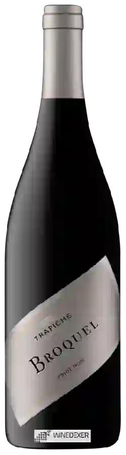 Winery Trapiche - Broquel Pinot Noir Winery Trapiche - Broquel Pinot Noir