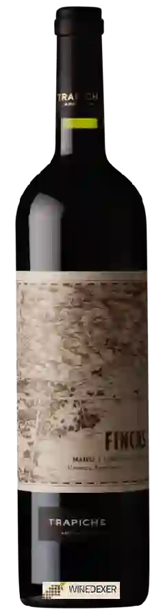 Winery Trapiche - Fincas Cabernet Franc
