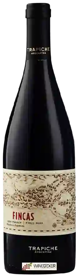 Winery Trapiche - Fincas Pinot Noir