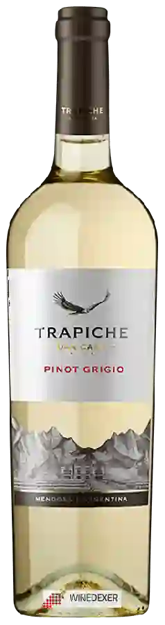 Winery Trapiche - Oak Cask Pinot Grigio