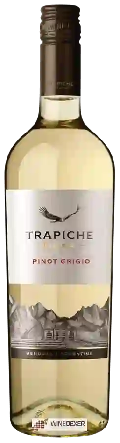Winery Trapiche - Reserve Pinot Grigio Winery Trapiche - Reserve Pinot Grigio