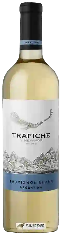 Winery Trapiche - Vineyards Sauvignon Blanc