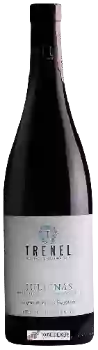 Winery Trénel - Juliénas