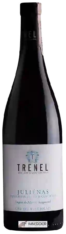 Winery Trénel - Juliénas Winery Trénel - Juliénas
