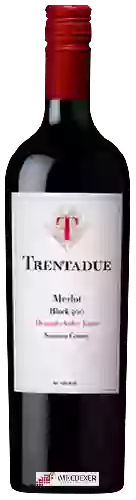 Winery Trentadue - Block 500 Merlot