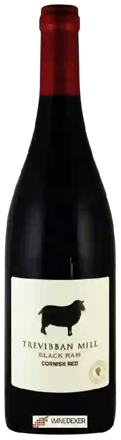 Winery Trevibban Mill - Black Ram Winery Trevibban Mill - Black Ram