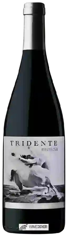 Winery Tridente - Mencia