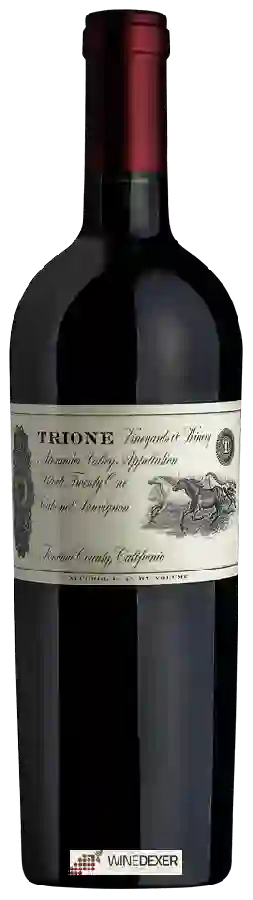 Winery Trione - Block Twenty One Cabernet Sauvignon