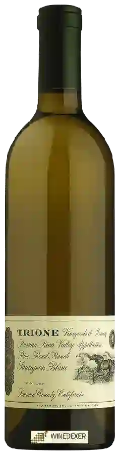 Winery Trione - River Road Ranch Sauvignon Blanc