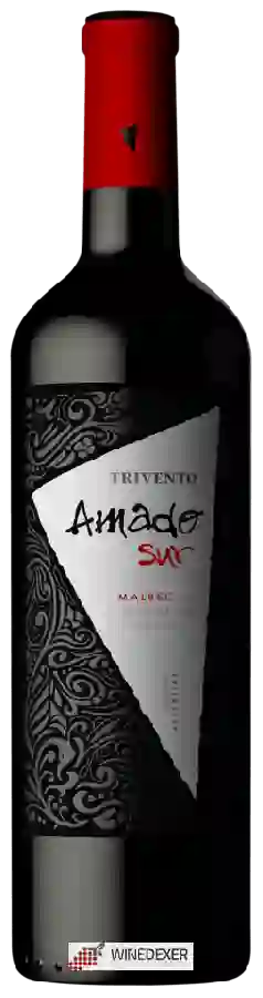 Winery Trivento - Amado Sur