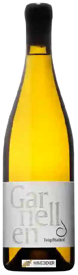 Winery Tröpfltalhof - Garnellen