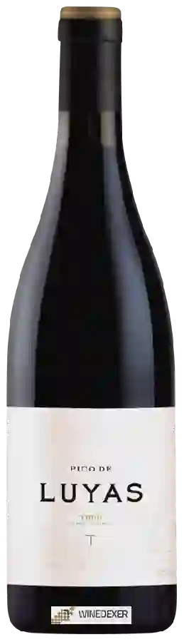 Winery Trus - Pico de Luyas