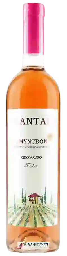 Winery Tsantali - Amynteon Rosé Trocken